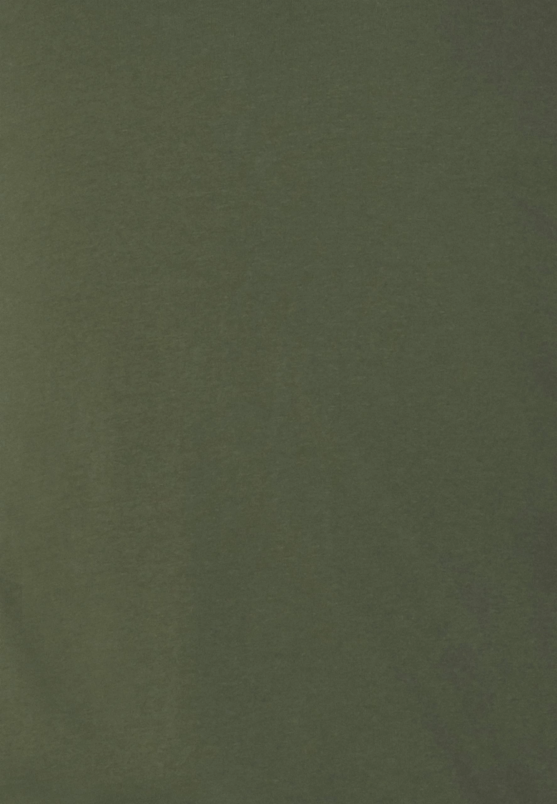 Pier One2 PACK - Långärmad Tröja - Off-white/dark Green 6 Pier One2 PACK - Långärmad Tröja - Off-white/dark Green - Bild 6